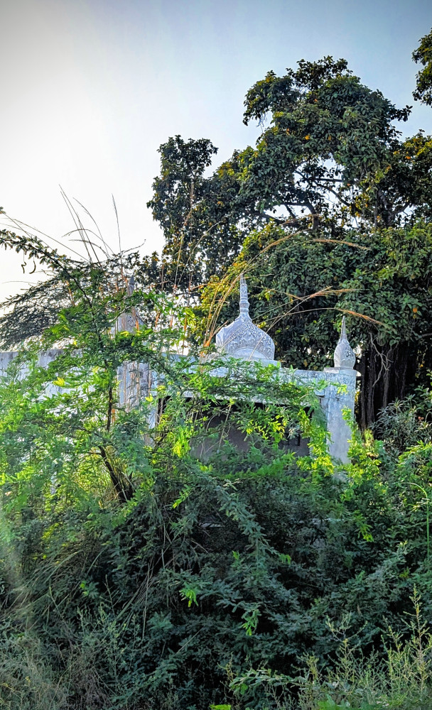 School and a beautiful old masjid